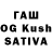 Галлюциногенные грибы Psilocybine cubensis Iffat ARA