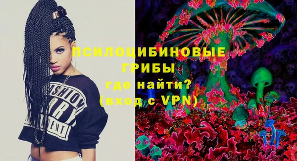 индика Алзамай