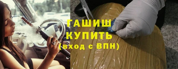 индика Алзамай