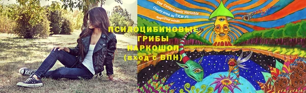 метадон Алексин