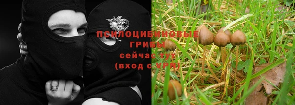 наркотики Алексеевка