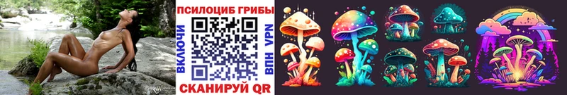 blacksprut ссылка  Евпатория  Галлюциногенные грибы Psilocybine cubensis  цена наркотик 